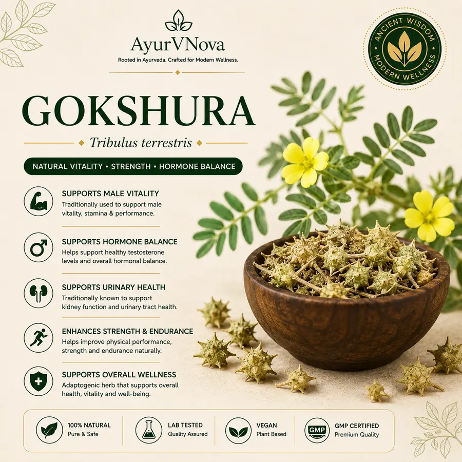 Gokshura